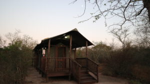 Shalati Safari Camp - Manyeleti Game Reserve