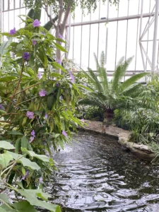 barbican_conservatory