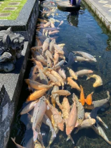 Bali_2024