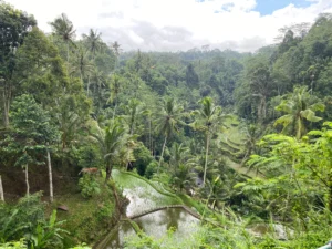 Bali_2024