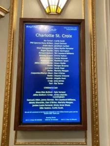 tina_turner_the_musical