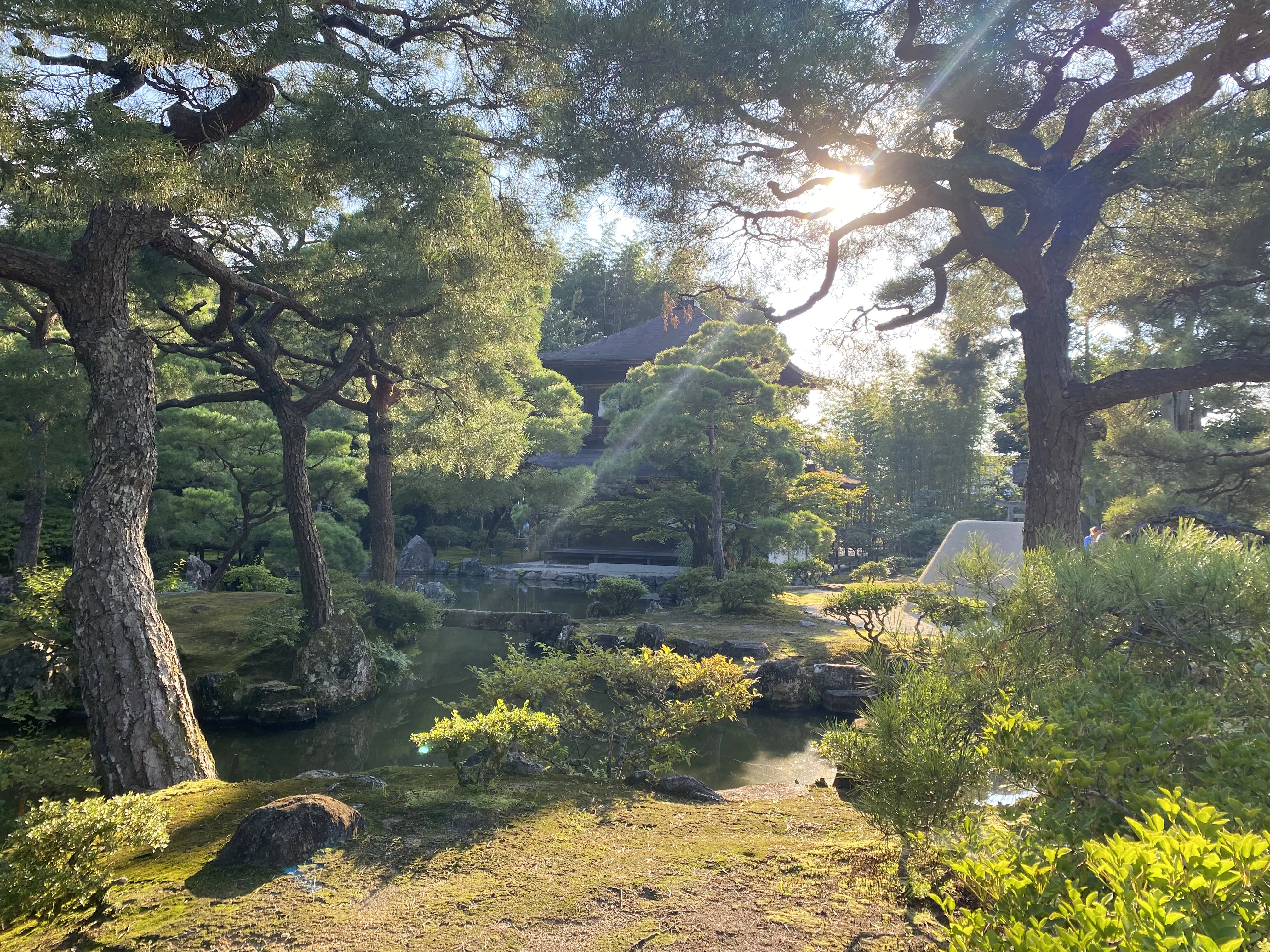 Kyoto scene temple