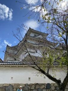 Himeji castle