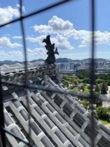Himeji castle view
