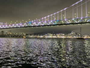 Busan Night Cruise Experience