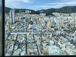 Busan tower view
