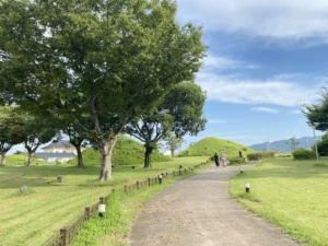 Gyeongju National Museum and Royal Tombs