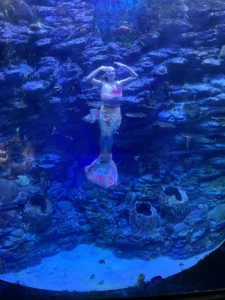 Sea Life Busan