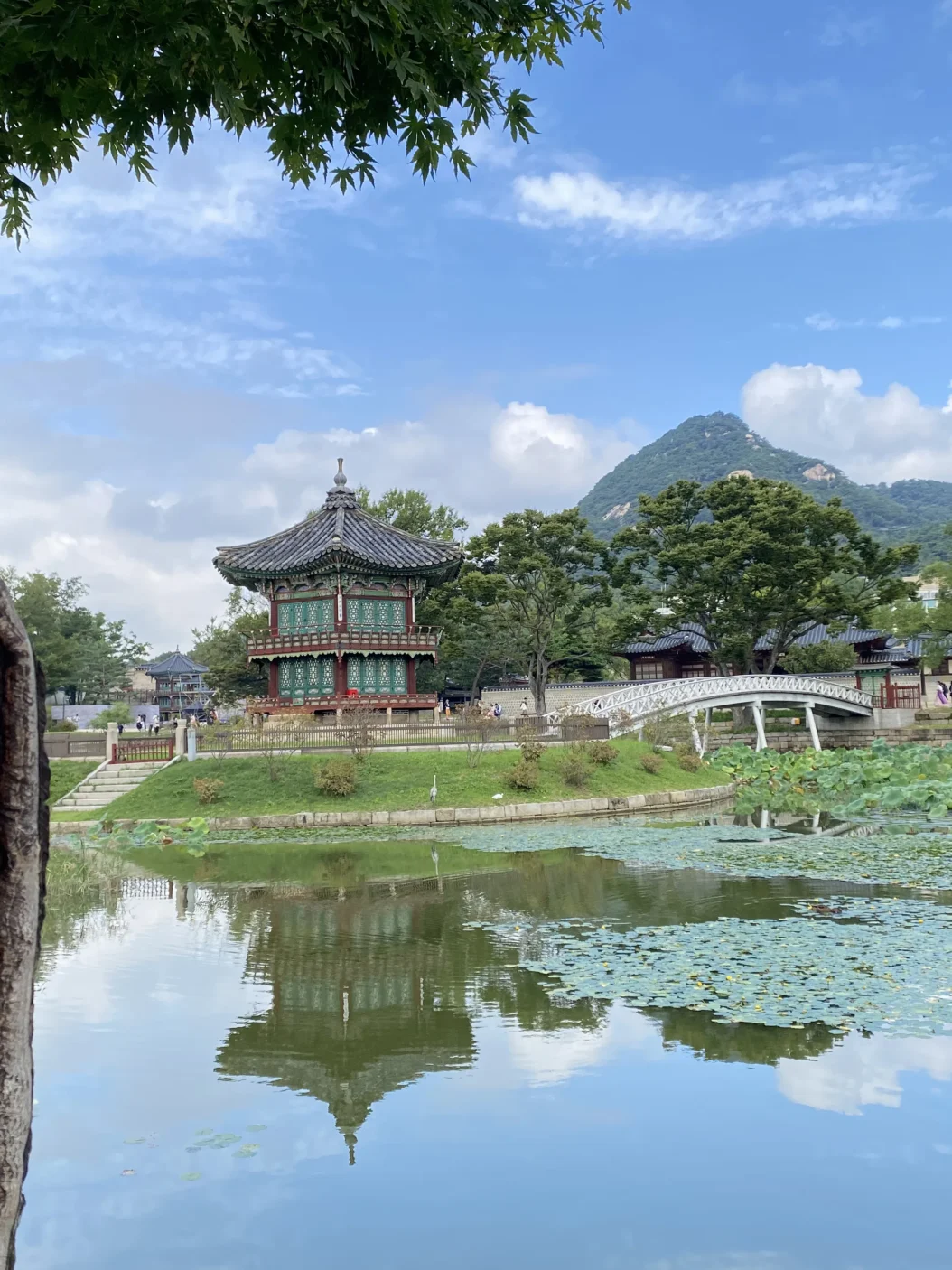 Palace garden Gyeongbokgung palace