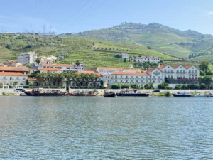 Douro Valley Wine tasting tour